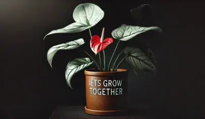 نگهداری گیاه آنتریوم