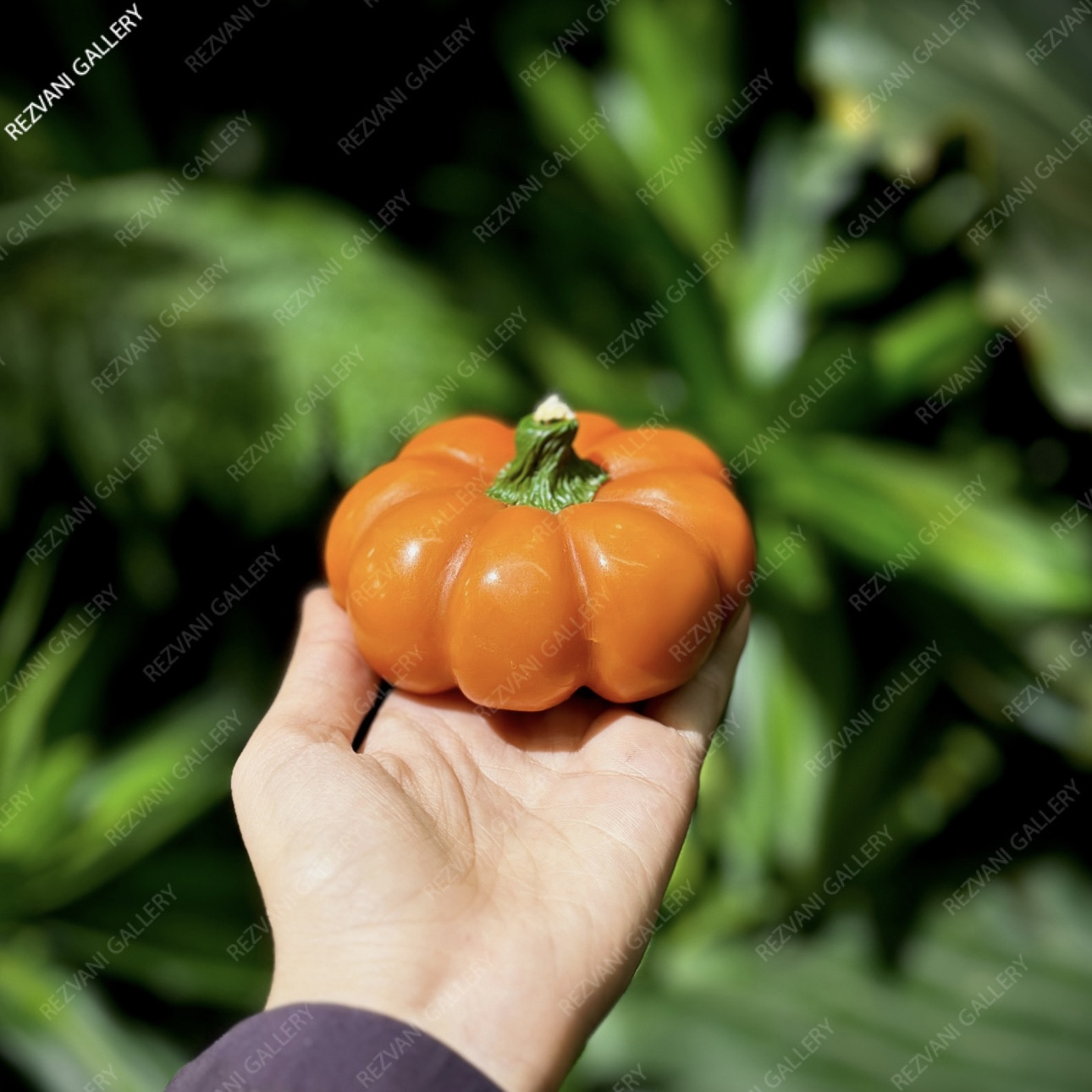 شمع کدو تنبل