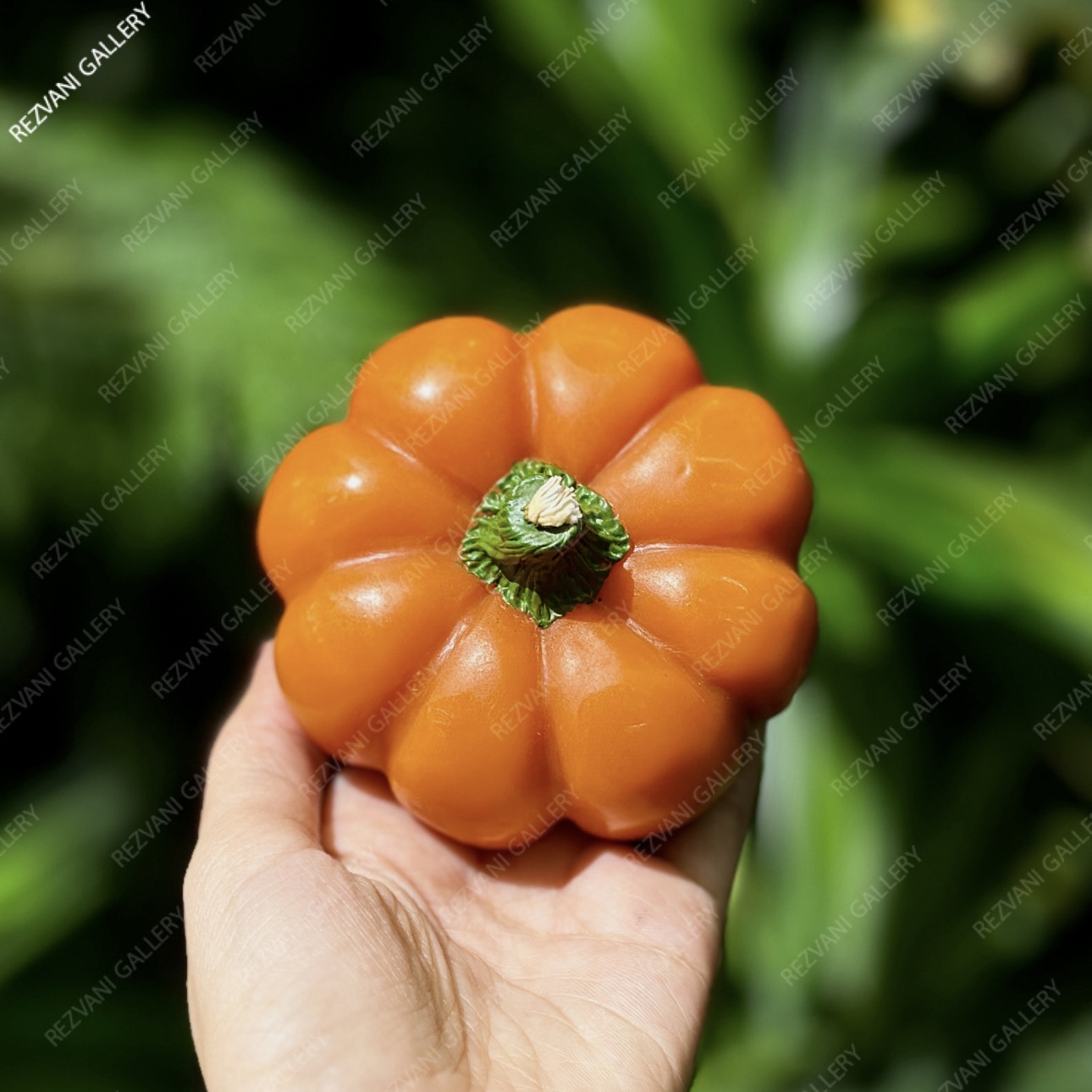عکس شمع کدو تنبل