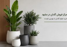 مرکز فروش گلدان در مشهد