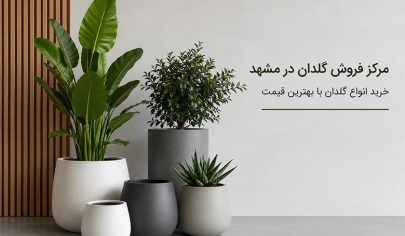 مرکز فروش گلدان در مشهد