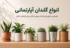 مقاله انواع گلدان آپارتمانی