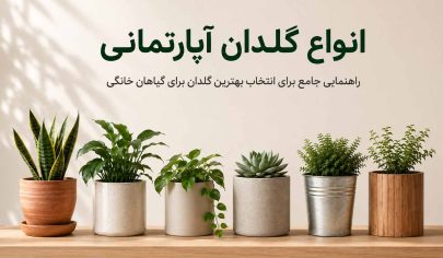 مقاله انواع گلدان آپارتمانی